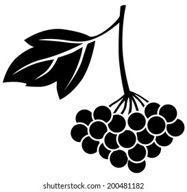 Silhouette black and white image of viburnum berries