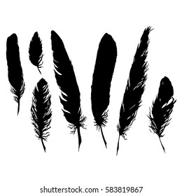 Silhouette Black White Monochrome Feather Set Stock Vector (Royalty ...