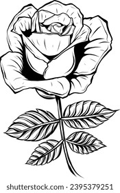 silhouette of black and white rose