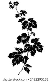 Silhouette of a blackberry bramble with five-petaled flowers and numerous leaves visible