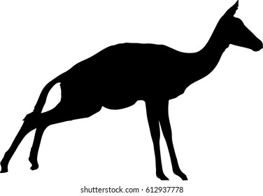 Silhouette of blackfaced impala antelope on the jump, hand drawn vector illustration isolated on white background