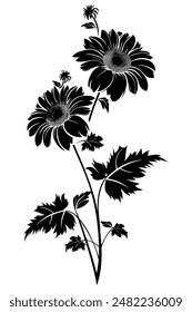 Silhouette blooming plant with intricate flowers on a slender stem and leaves growing on either side