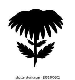 Silhouette of a blossoming camomile.