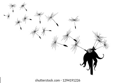 Silhouette of a blossoming expanding dandelion. Black illustration on white background. Tattoo.
