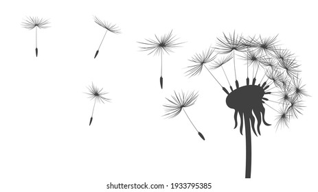 dandelion seed silhouette