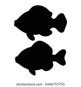 silhouette of bluegill fish on white