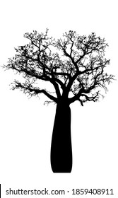 silhouette of boab tree on a white background