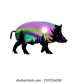 Silhouette of boar with colorful northern lights and moonlight  in sky. Coniferous trees.