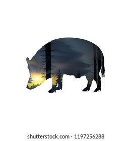 Silhouette of boar with panorama of forest. Pine trees and trunks. Sunset. Natural grey and yellow tones.