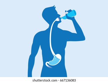 Silhouette of body man drinking water from bottle flow into stomach. Illustration about healthy lifestyle.