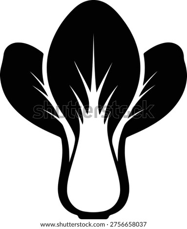 silhouette bok choy vegetable icon fresh organic food vector design