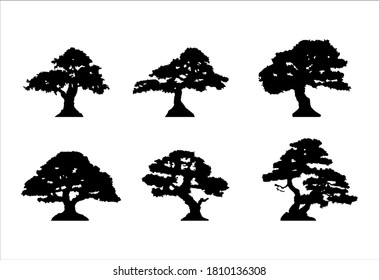 silhouette of a bonsai tree illustration