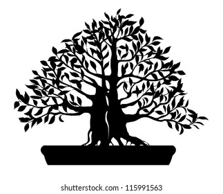 Silhouette of bonsai tree isolated on white background - vector illustration