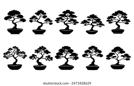 Silhouette of a bonsai tree in a pot