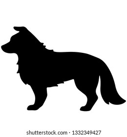 Download Border Collie Silhouette Images, Stock Photos & Vectors ...