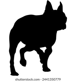 A silhouette of a Boston terrier