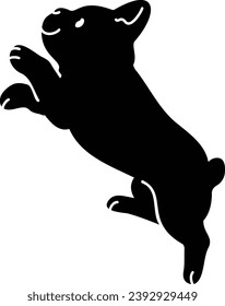 Silhouette of Boston Terrier jumping with facial details