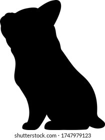 Silhouette of Boston Terrier sitting
