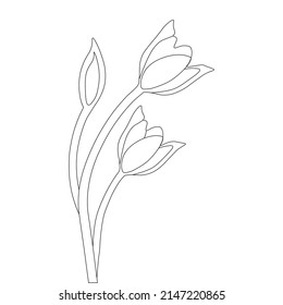 silhouette botanical illustration vector artwork for baby flower coloring page design