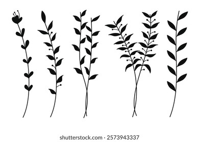 Silhouette Botanical Set.The images are minimalist, showcasing simple line drawings of plants with leaves and stems.Vector illustration