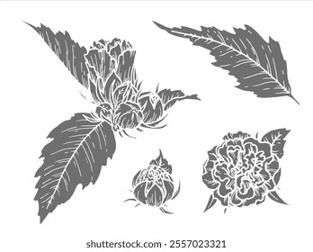 Silhouette botanische Vektorgrafik der Blume mit Blättern. Handgezeichnetes Blumenelement mit Knospe. Perfekt für die Erstellung von grafischen Ressourcen im Linienkunststil und Verpackungsdesigns.