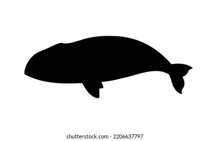 Silhouette de ballena de la cabeza de bol. Ilustración vectorial silueta negra de ballena de cabeza de invierno aislada en blanco. Icono del logotipo, vista lateral.