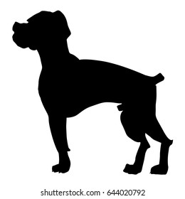silhouette of boxer dog