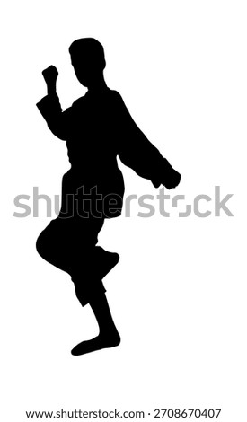Silhouette of a boy demonstrates karate