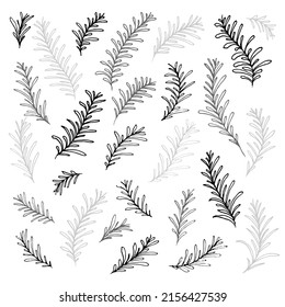 Silhouette branch, colorless design. Doodle set of herbs on a wight background isolated. Can be used for the design of stickers, packaging, logos, clothing, tags, cosmetic products