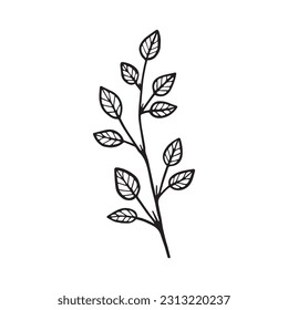 Silhouette of a branch with leaves