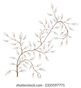 silhouette branch with leaves. hand drawn of branch and leaf. hand drawn leaves. hand drawn leaf. decorative branch and leaf ornament. Botanical abstract line vector.