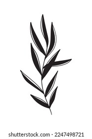 Silhouette branch with leaves, stem in black isolated on white background. Hand drawn vector illustration in doodle line modern trendy style. Floral design, botanical, print, decorative, design, card
