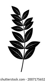 Silhouette of a branch with leaves. Vector illustration of black color isolated on white background.