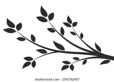 Silhouette of a branch with leaves. Young flowering tree. Sapling.