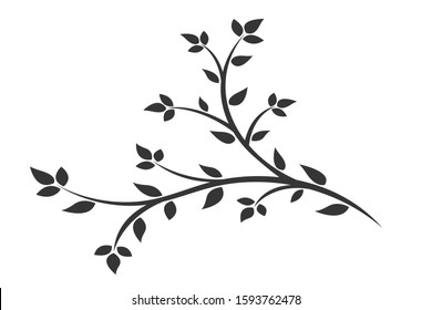 Silhouette of a branch with leaves. Young flowering tree. Sapling.