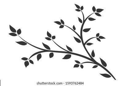 Silhouette of a branch with leaves. Young flowering tree. Sapling.