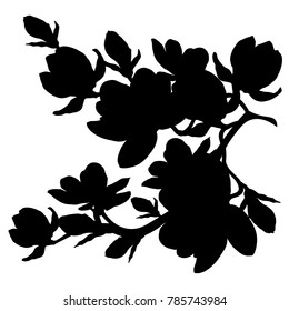 silhouette branch magnolia flowes blossom  vector illustration