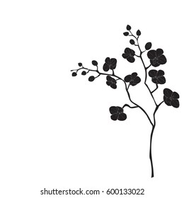  silhouette  branch of orchids black on white  background