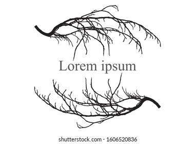 Silhouette of branch tree, frame for text, lorem ipsum. Vector illustration.