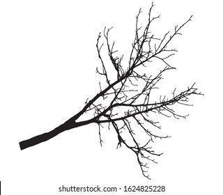 Silhouette of branch tree without leaves. Vector illustration.