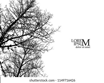 Silhouette of branch trees