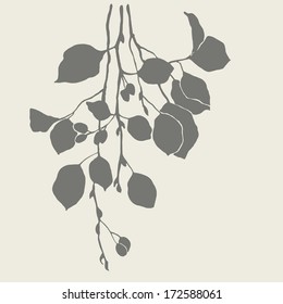 	Silhouette of branches of alder