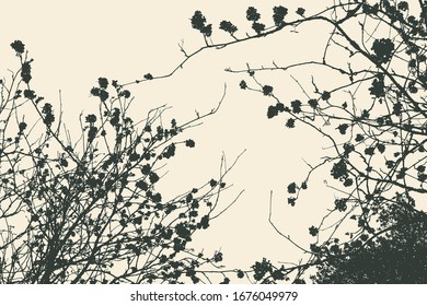 Silhouette of branches with berries. detailed vector illustration