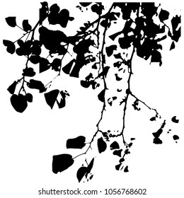 Silhouette of branches with leaves. Tree with leaves. Spring Summer. Isolated image on white background. Vector illustration. Branches in the wind.
