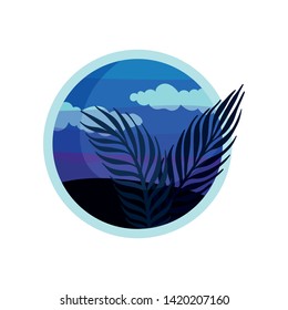 Silhouette of branches with thin long leaves. Night landscape. Vector illustration on white background.