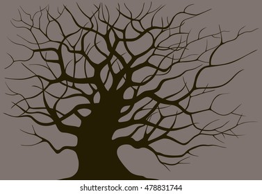 Silhouette branching of an old tree on a dark background