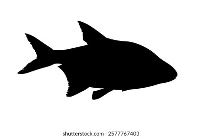 Silhouette of bream fish, side view. Vector illustration. Black silhouette isolated on white background