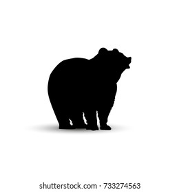 Silhouette of brown  bear.