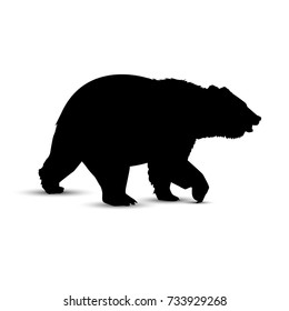 Download Running Bear High Res Stock Images Shutterstock