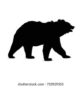 Silhouette of brown  bear.